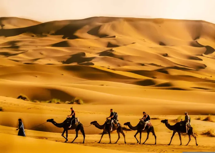 3-day Sahara desert tour from Marrakech to Merzouga — camel ride at Erg Chebbi dunes